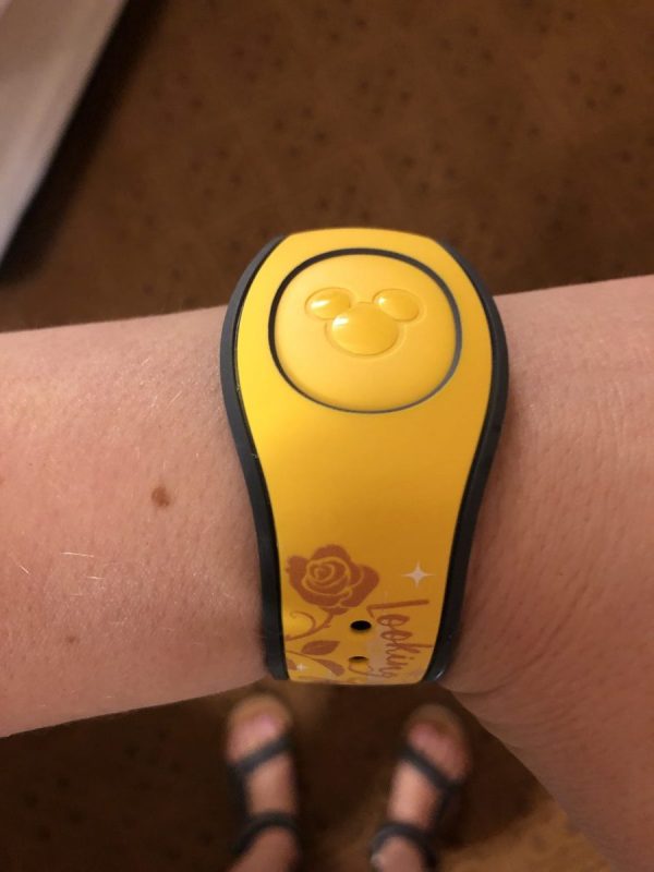 \"MagicBands